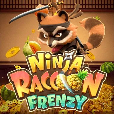 Ninja Raccoon